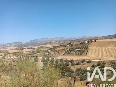 Terrain loisirs à Casabermeja