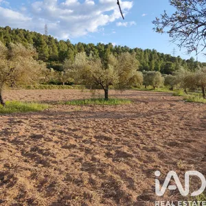 Terreno rústico en FLIX