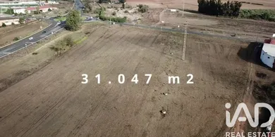 Land in Gibraleón