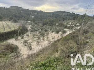 Terreny rústic a Benillup