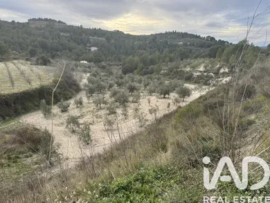 Terrain loisirs à Benillup