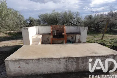 Terreny agrícola a L'Ampolla
