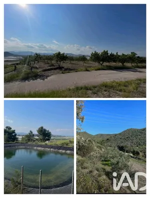 Terreno agricola en Lorca