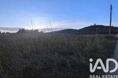 Terreny a Ulldecona