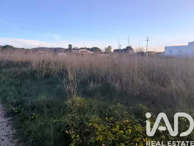 Terreny a Ulldecona