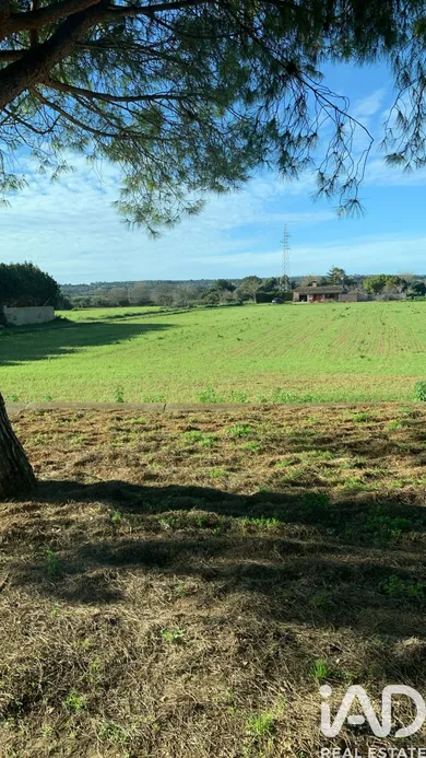 Terreno agricola en Sant Llorenç des Cardassar