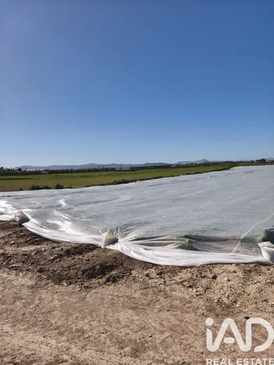 Farm land in Roldán