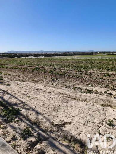 Farm land in Roldán