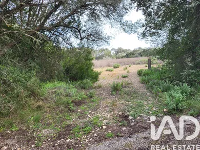 Land in Sant Joan
