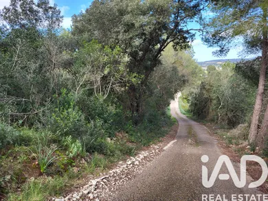 Land in Sant Joan
