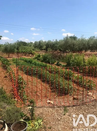 Terreno agricola en San Rafael del Rio
