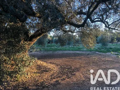 Terreno agricola en San Rafael del Rio