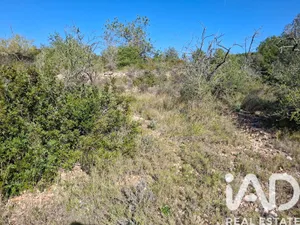 Terrain agricole  à Ulldecona