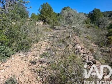 Terreno agricola en Ulldecona
