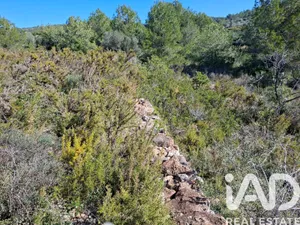 Terreno agricola en Ulldecona