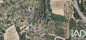 Terreny agrícola a Ulldecona