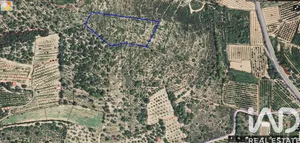 Terrain agricole à Ulldecona