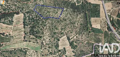 Terreno agricola en Ulldecona