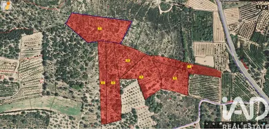 Terreno agricola en Ulldecona