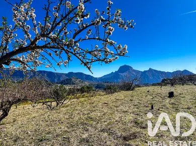 Terreno rústico en Tàrbena