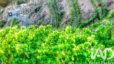 Terreny agrícola a Porrera