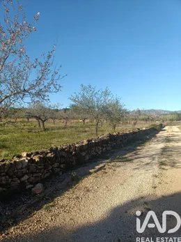Land in El Perelló