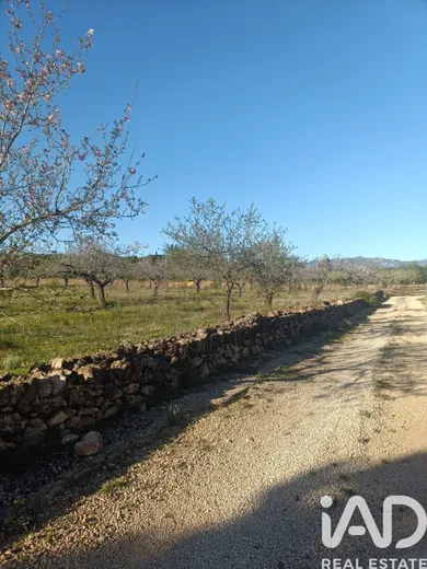 Terreny a El Perelló