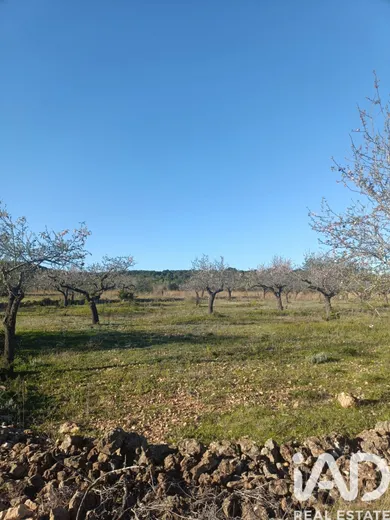 Terreny a El Perelló