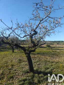 Land in El Perelló