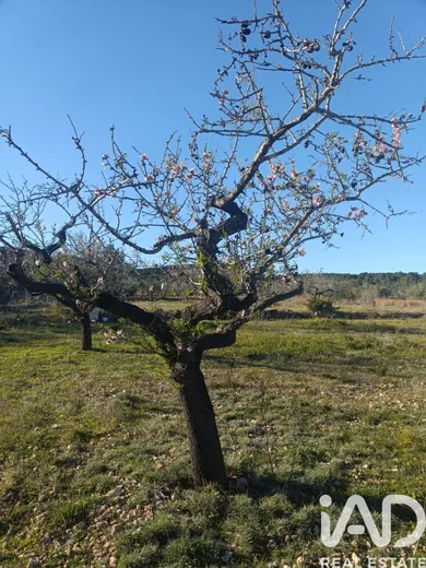 Terreny a El Perelló