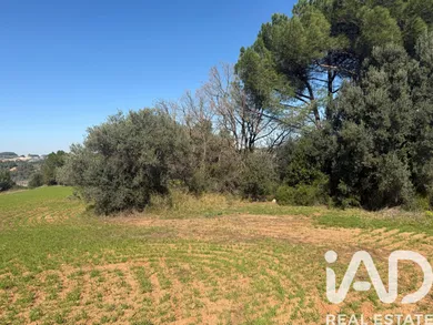 Terreny rústic a Castellví de Rosanes
