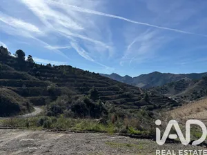 Terreny a Porrera