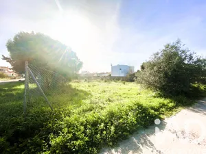 Terreno rústico en Chiclana de la Frontera