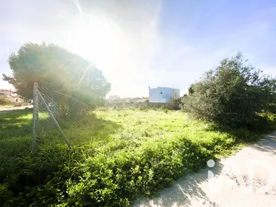 Terreno rústico en Chiclana de la Frontera