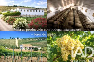 Terreno agricola en Jerez de la Frontera