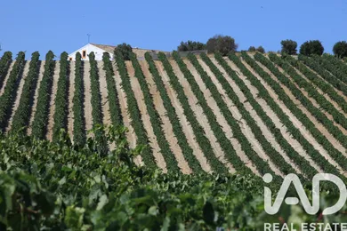 Terreny agrícola a Jerez de la Frontera