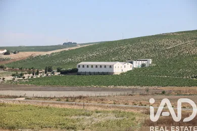 Terreny agrícola a Jerez de la Frontera