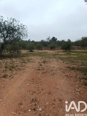 Terreny a L'Ametlla de Mar