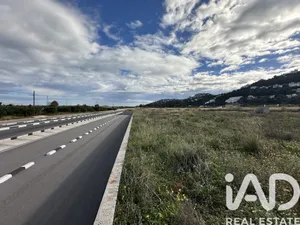 Terrain agricole  à Pego