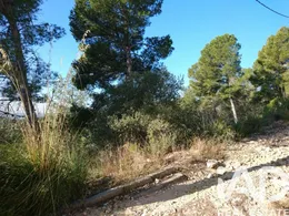 Terreno en Sant Pere de Ribes