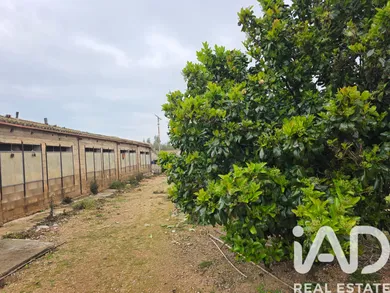 Terreno agricola en Amposta