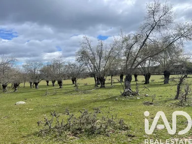 Terreno agricola en Galapagar