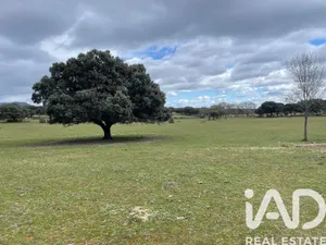 Terreno agricola en Galapagar