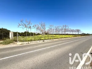 Terreny rústic a Dénia