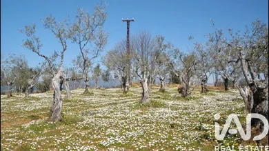Terreno rústico en Perales del Puerto