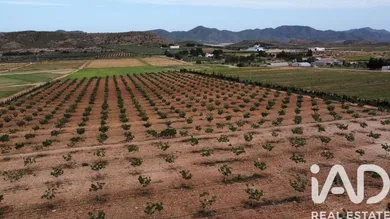 Terreno agricola en Lorca