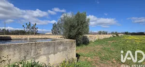 Terreno rústico en Santa Margalida