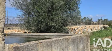 Leisure land in Santa Margalida