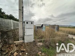 Terreno rústico en Pego