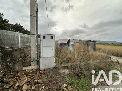 Terreno rústico en Pego